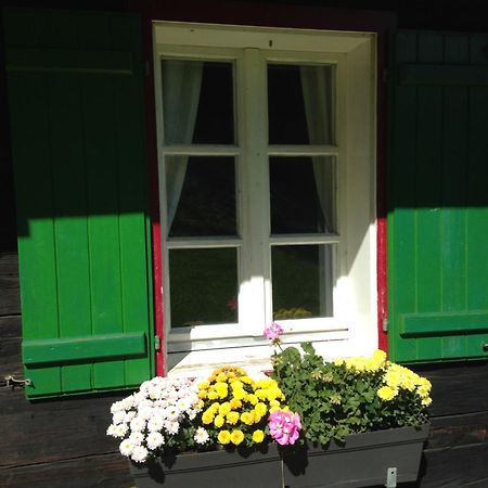 Ferienhaus Trausibauer Stainz Exterior photo